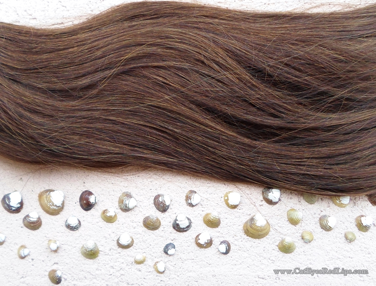 Cliphair Ltd Hair Extensions in #4 Medium Brown review | Cat Eyes Red Lips